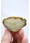Topraksı Kahve ve Krem Dendritik Opal Merlinit Dilimi, 35g