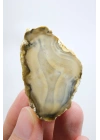 Topraksı Kahve ve Krem Dendritik Opal Merlinit Dilimi, 35g