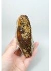 Eye-Banded Black Sea Agate - Derin Tuğla Kırmızısı, Hardal Sarısı ve Koyu Kahverengi Orbiküler