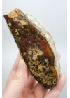 Eye-Banded Black Sea Agate - Derin Tuğla Kırmızısı, Hardal Sarısı ve Koyu Kahverengi Orbiküler