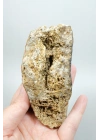 Eye-Banded Black Sea Agate - Derin Tuğla Kırmızısı, Hardal Sarısı ve Koyu Kahverengi Orbiküler