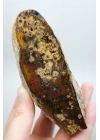 Eye-Banded Black Sea Agate - Derin Tuğla Kırmızısı, Hardal Sarısı ve Koyu Kahverengi Orbiküler