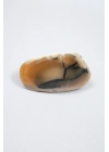 Bal Rengi Dendritik Opal Cilalı | Koyu Kahverengi Dendritik Opal ile Siyah İçerikler