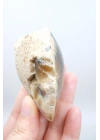 Bal Rengi Dendritik Opal Cilalı | Koyu Kahverengi Dendritik Opal ile Siyah İçerikler