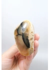 Bal Rengi Dendritik Opal Cilalı | Koyu Kahverengi Dendritik Opal ile Siyah İçerikler