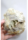 Bal-Sarı ve Buz-Mavi Dendritik Opal Levha - Kuvars Jeot Boşlukları ve Siyah Dendrit Tüyler, 377g