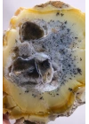 Bal-Sarı ve Buz-Mavi Dendritik Opal Levha - Kuvars Jeot Boşlukları ve Siyah Dendrit Tüyler, 377g