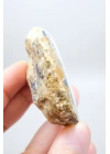 Dendritik Opal ile Yolunuzu Aydınlatın: Sihirli Enerji Jeneratörünüz