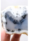 Merlinit (Opale dendritico) - Coppia di Opali Blu e Bianchi | Pietra di Intuizione e Equilibrio
