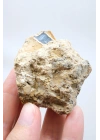 Merlinite 树枝状蛋白石晶洞 —— 内部中空的结核，伴有葡萄状玉髓与立体黑色树枝状纹理，重 67 克