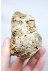 Merlinit / Dendritik Opal ile Mavi Druzy Yastık Çekirdeği, 237g