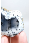 Sisli Orman Dendrit Opal | Derin Mavi ve Kar Beyazı Merlinite Örneği, 82g