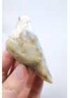 多彩景观梅林石片 - 风景性树枝状蛋白石，109克