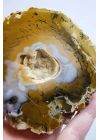 Hardal Sarısı ve Süt Beyazı Merlinite Çifti (Dendritik Opal) ile Kar Beyazı Jeot, 695g