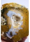 Hardal Sarısı ve Süt Beyazı Merlinite Çifti (Dendritik Opal) ile Kar Beyazı Jeot, 695g