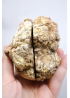 Hardal Sarısı ve Süt Beyazı Merlinite Çifti (Dendritik Opal) ile Kar Beyazı Jeot, 695g