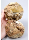 Hardal Sarısı ve Süt Beyazı Merlinite Çifti (Dendritik Opal) ile Kar Beyazı Jeot, 695g
