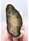Doğal Kahverengi Dendritik Opal Merlinit Dilimi - Topraksı Kahve & Krem Cila Taşı, 87g