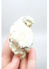 Doğal Kahverengi Dendritik Opal Merlinit Dilimi - Topraksı Kahve & Krem Cila Taşı, 87g
