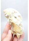 Pastel Mavi Dendritik Opal Kristal Numune, Tek