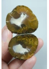 Pareja de Plumitas de Ágata Pulida del Mar Negro, Amarillo Ocre, Abanico Blanco y Dorado Mostaza