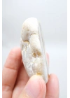 Polished Honey Merlinite Slice - Rare Golden Dendritic Opal Heart, 87g