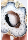 Polished Merlinite - Dendritic Opal Slab with Blue Banding & Pink Chalcedony Core, 264g
