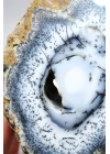 Polished Merlinite Geode - Opale Dendritique avec Bande Bleue & Cavité Centrale Druzy, 194g