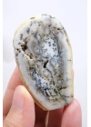 白瓷和石板灰色的梅林岩 - 树枝状蛋白石，69克
