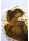 Raro par de ópalo dendrítico marrón con inclusiones dendríticas en forma de ramas oscuras, 797g