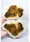 Raro par de ópalo dendrítico marrón con inclusiones dendríticas en forma de ramas oscuras, 797g