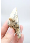 Nadir Dendritik Opal Kış Ormanı Dilimi - Cilalı Bal, Mavi ve Beyaz Merlinite