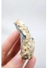 Seltene Merlinite (Baumartiger Dendritenopal) Geode - Natürliche, dreidimensionale baumartige Dendriten, 58g