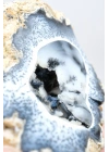 Seltene Merlinite (Baumartiger Dendritenopal) Geode - Natürliche, dreidimensionale baumartige Dendriten, 58g