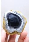 Nadir Kış Ormanı Merlinit Dilimi (Mavi ve Beyaz Dendritik Opal) - Cilalanmış Portal Koleksiyoncuya Özel Örnek (68g)