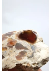 Ham Ateş/Bal Opalı Matris İçinde – Doğal Cilalanmamış, 59g