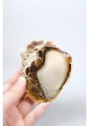 Ham Bal ve Süt-Opal Örneği Matriste, 141g