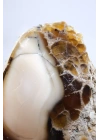 Ham Bal ve Süt-Opal Örneği Matriste, 141g