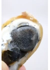 小さな黄色の樹枝状オパールゲオードで、自然な「目」の形成と黒いドルージーコアがあり、38g