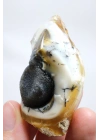 小さな黄色の樹枝状オパールゲオードで、自然な「目」の形成と黒いドルージーコアがあり、38g