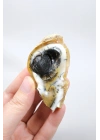 小黄色树枝状蛋白石晶洞，具有自然“眼睛”形态和黑色晶核，41克