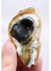 小黄色树枝状蛋白石晶洞，具有自然“眼睛”形态和黑色晶核，41克