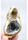小黄色树枝状蛋白石晶洞，具有自然“眼睛”形态和黑色晶核，41克