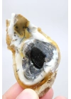 小黄色树枝状蛋白石晶洞，具有自然“眼睛”形态和黑色晶核，41克