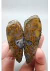 Tangerine Portakalı ve Karamel Kahverengi Dendritik Siyah Deniz Agat