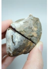 Terracotta Kırmızı Bantlı ve Hardal Sarısı İşlemeli Doğal Akik