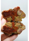 Canlı Terracotta Kırmızı Bantlı Almus Agat Parlatılmış Çifti