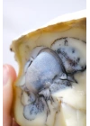 Sarı Dendritik Opal Dendritik Opal Jeotu, Doğal Göz Oluşumu ve Mavi Druzy Çekirdek, 155g