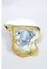 Sarı Dendritik Opal Dendritik Opal Jeotu, Doğal Göz Oluşumu ve Mavi Druzy Çekirdek, 155g