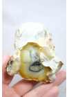 Sarı Dendritik Opal Dendritik Opal Jeotu, Doğal Göz Oluşumu ve Mavi Druzy Çekirdek, 155g